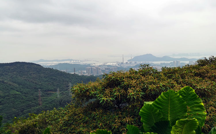 激扬青春、奋勇攀登登山活动